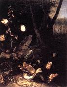 SCHRIECK, Otto Marseus van Still-life with Plants and Reptiles ery oil painting artist
